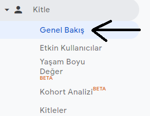 Google Analytics Kitle Raporu