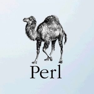 Perl Dili – Perl Nedir Ne İşe Yarar