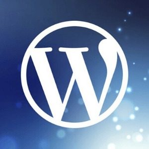 WordPress Blog Nasıl Açılır?