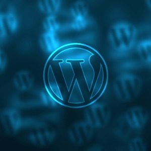 WordPress Tema Nasıl Çalışır?