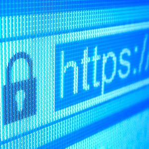 Kişisel Web Site Nasıl Kurulur?